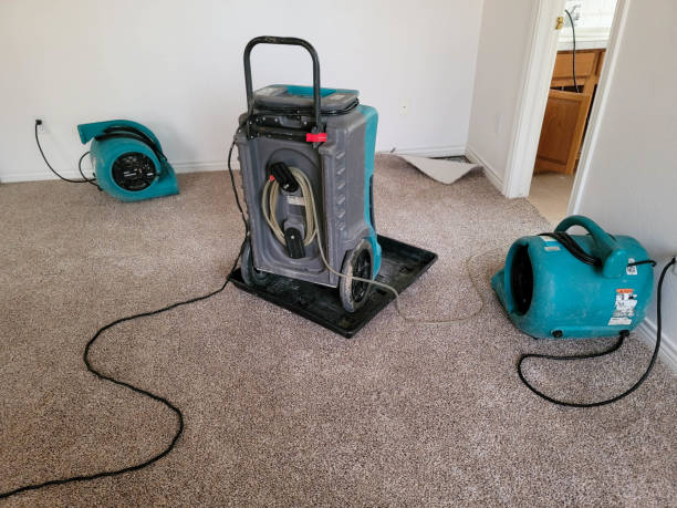 Best Water damage contractors near me  in Germantown Hls, IL