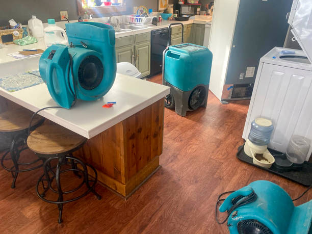 , IL Water damage restoration Company