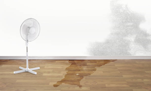 Best 24/7 water damage repair  in Germantown Hls, IL