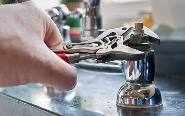 Best Professional water damage repair  in Germantown Hls, IL