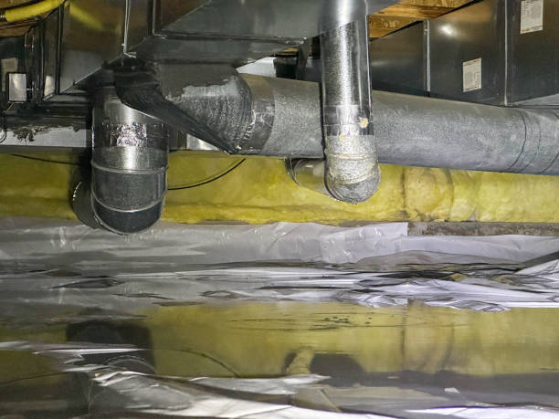 Best Water damage restoration process  in Germantown Hls, IL