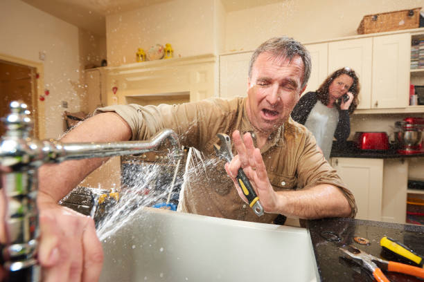 Best Carpet water damage restoration  in Germantown Hls, IL